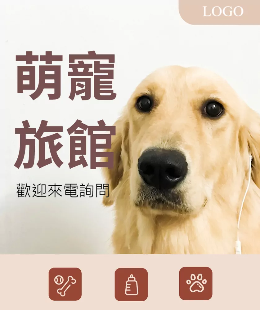 狗狗