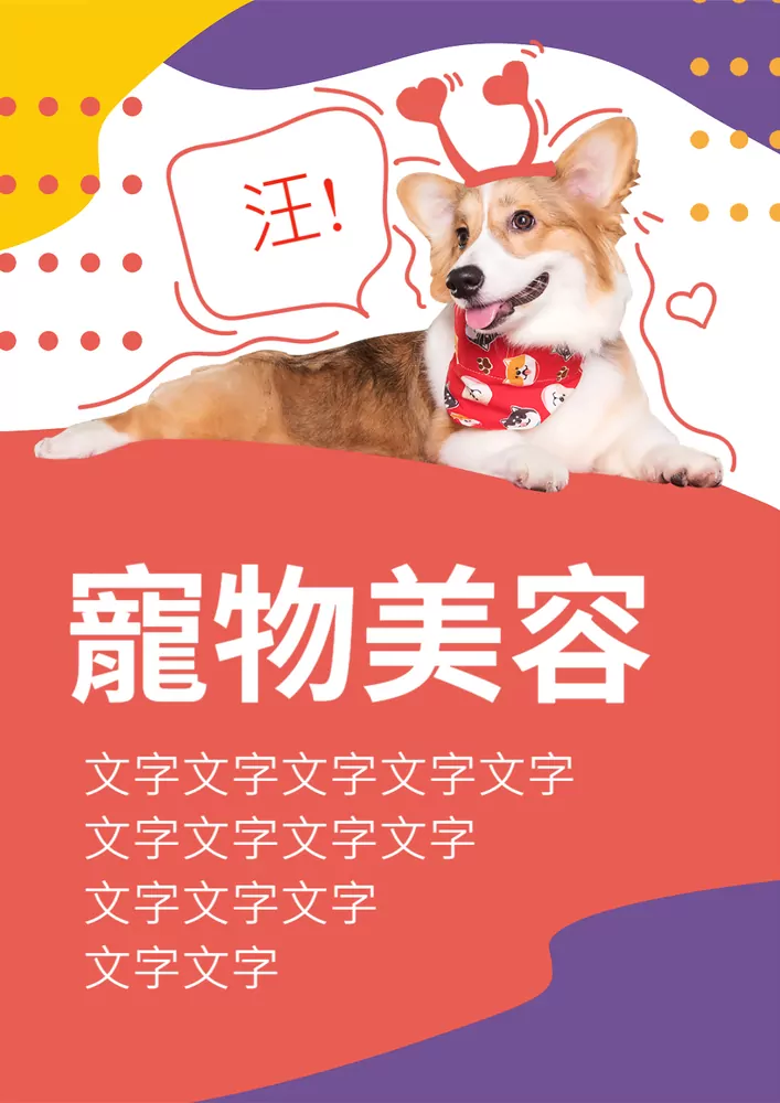 狗狗