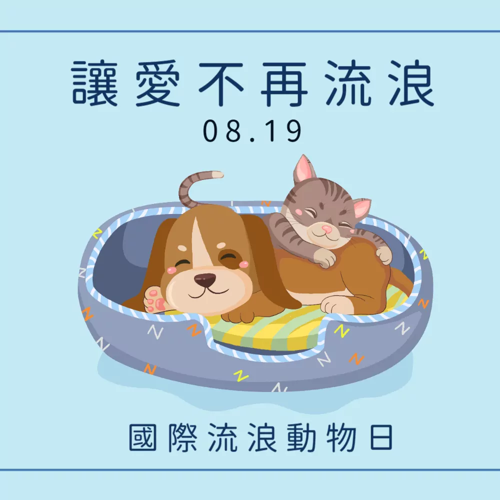 國際流浪動物日10 Y