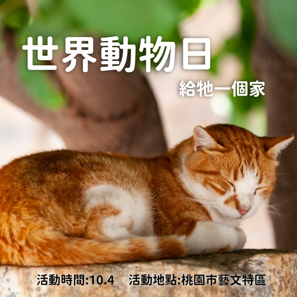 動物9 J