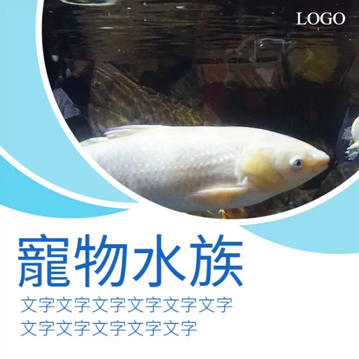 寵物魚